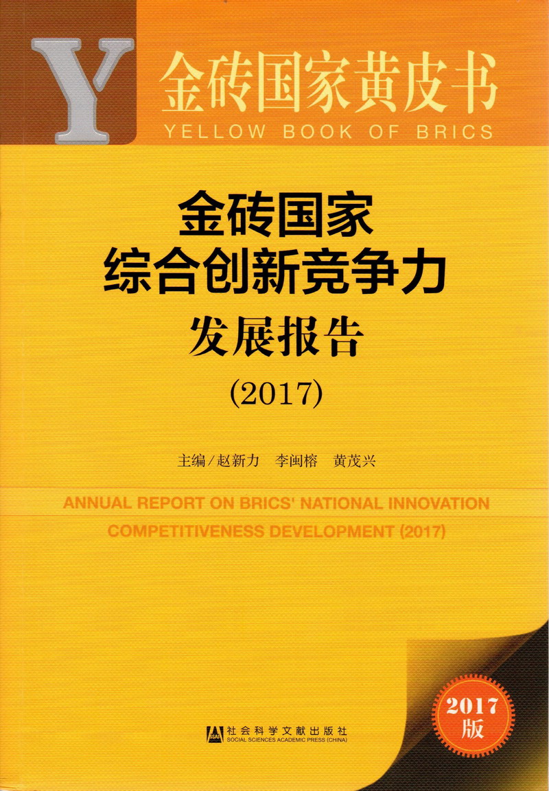 男生把鸡鸡捅进女生屁股视频金砖国家综合创新竞争力发展报告（2017）